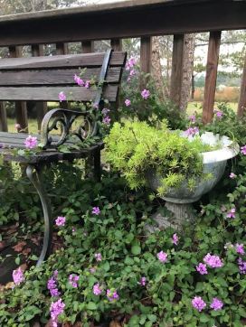 bench, pot and flowers
